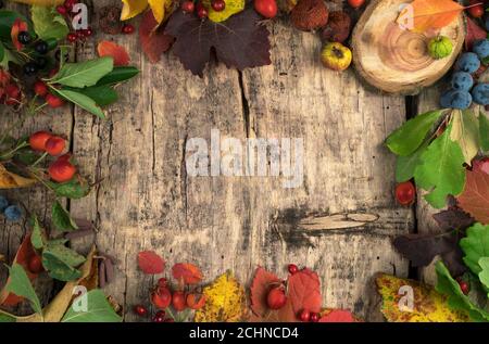 Autumn layout of berries and dried fruit leaves on a natural wooden background. Stock Photo