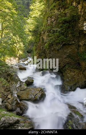 The waterfall of the Treffling creek in Lower Austria, Mostviertel Stock Photo