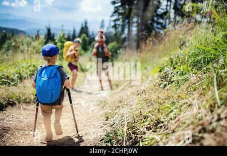 Rear view of small boy with family hiking outdoors in summer nature. Stock Photo