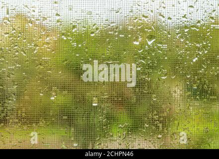 Water drops on window. Background of drops of water rain on glass transparent Stock Photo