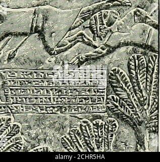 . History of Egypt, Chaldea, Syria, Babylonia and Assyria . Stock Photo