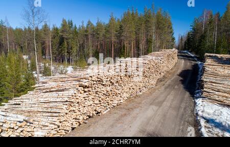 Aerial view of harvested birch log piles along a forest road at Spring , Finland Stock Photo