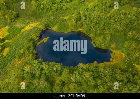 Aerial top view of blue lake In north forest Stock Photo
