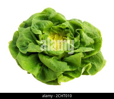 Green salad isolated on white background Stock Photo