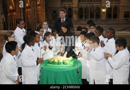 Britain's Catherine, Duchess of Cambridge cuts a cake with pupils from Oakington Manor Primary School, watched by Museum Director Sir Michael Dixon (REAR C), as she attends a children's tea party , to celebrate Dippy the Diplodocus's time in Hintze Hall, at the Natural History Museum in London, Britain November 22, 2016. REUTERS/Yui Mok/Pool