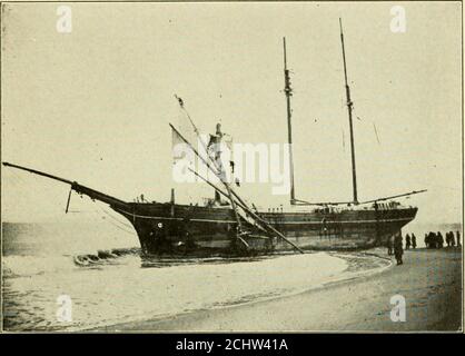 Shipwreck remains believed to be schooner Warren Sawyer