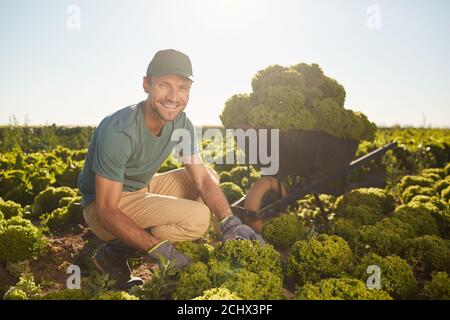 Full length portrait of smiling male worker looking at camera while collecting harvest at vegetable plantation outdoors, copy space Stock Photo