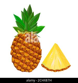 Pineapple isolated on white background. Pineapple with sliced flesh. Tropical exotic fruit. Sweet ananas with leaf side view.Stock vector illustration Stock Vector