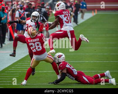 Arizona Cardinals safety Chris Banjo (31) on defense during an NFL football  game against the Carolina Panthers, Sunday, Oct. 2, 2022, in Charlotte,  N.C. (AP Photo/Brian Westerholt Stock Photo - Alamy