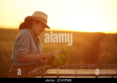 Side view portrait of smiling female farmer cutting and washing vegetables while gathering harvest at field in golden sunset light, copy space Stock Photo