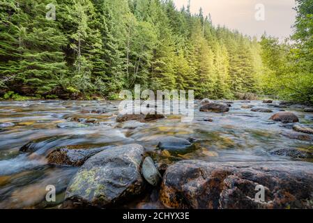 Landscape view of the mountain river in the forest at sunrise in Northern Idaho. Stock Photo