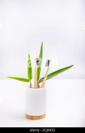 A family set of two wooden toothbrushes standing with fresh bamboo leaves in white fluted holder with bamboo basis on white background. Eco-friendly a Stock Photo