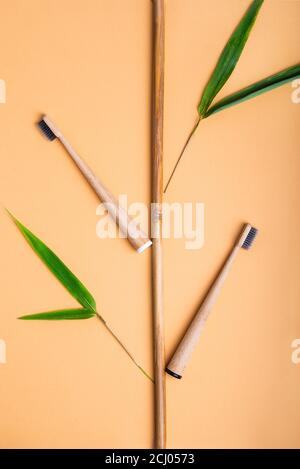 Top view fresh bamboo cane with green leaves and toothbrushes in form of bamboo plant on beige background. Concept of rational, conscious use of natur Stock Photo