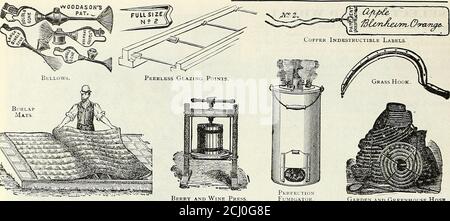 . Dreer's autumn 1904 catalogue . on is very great; like other plantsit gathers nitrogen from the air and stores it in the plants and roots, whichbecome valuable food for crops that follov ; it produces 8 to 10 tons ofgreen fodiler per acre. Pasturage. When sown early enough to get a good start Crimson Cloverwill make a splendid winter grazing for sheep and cattle, and is the earliestpasture in spring, as it blooms latter part of April. Hay. Crimson Clover produces from 2 to 3 tons of cured Hay per acre. Tosecure the best quality of Hay it should be cut before full bloom. It curesvery rapidly Stock Photo