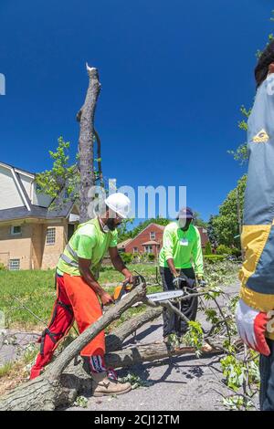 Detroit, Michigan - Workers from the Motor City Grounds Crew clean up damage caused by the remnants of Tropical Storm Cristobal. The storm brought dow Stock Photo