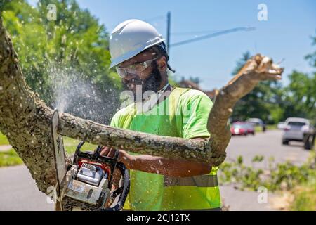 Detroit, Michigan - Workers from the Motor City Grounds Crew clean up damage caused by the remnants of Tropical Storm Cristobal. The storm brought dow Stock Photo