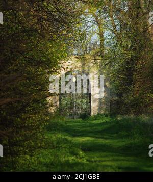 Detail of avenue of trees in the park Stock Photo - Alamy