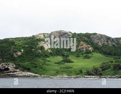 landscape on Mangere Island, New Zealand, Chatham Islands, Mangere Island Stock Photo