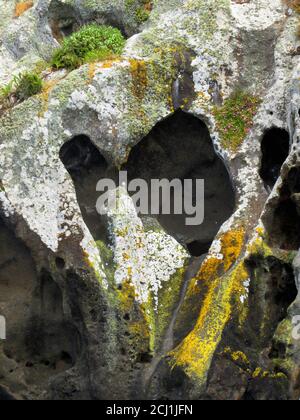 Heart shaped rock formation on Mangere Island, New Zealand, Chatham Islands, Mangere Island Stock Photo