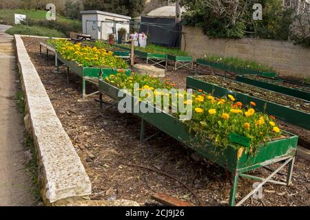 The Jerusalem Botanical Gardens is a gem in the heart of Jerusalem. It serves as an education, learning and research center, holds a diverse collectio Stock Photo