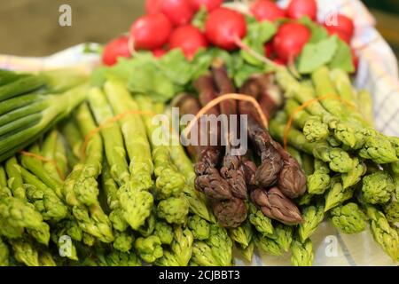 Bunch of green and violet asparagus Stock Photo