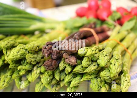 Bunch of green and violet asparagus Stock Photo