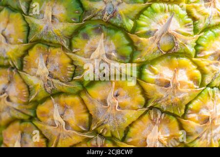 close up of fresh ripe pineapple bark texture background Stock Photo