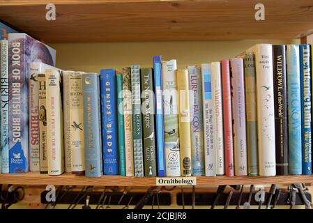 A bookshelf full of secondhand books on birds and ornithology in a Leominster Antiques Centre Stock Photo