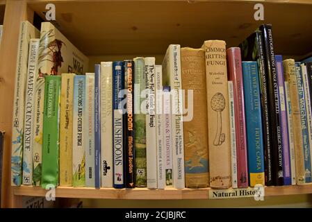 A bookshelf full of secondhand books on mushrooms and fungi in a Leominster Antiques Centre Stock Photo