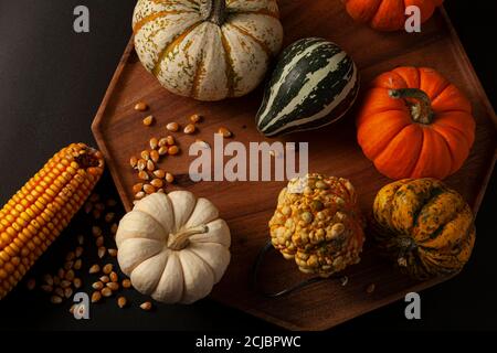 variety of pumpkins, squashes and gourds  as well as a dried a corn cob with kernels, randomly spread on a wooden plate black background. Ideal image Stock Photo