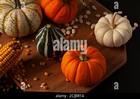 pumpkins, squashes and gourds ,  dried a corn cob with kernels and dried beans were randomly spread on a wooden plate on a  black background. Ideal im Stock Photo
