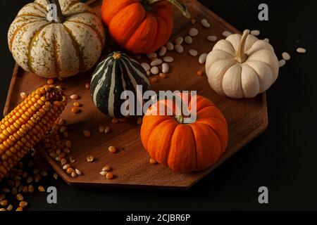pumpkins, squashes and gourds ,  dried a corn cob with kernels and dried beans were randomly spread on a wooden plate on a  black background. Ideal im Stock Photo
