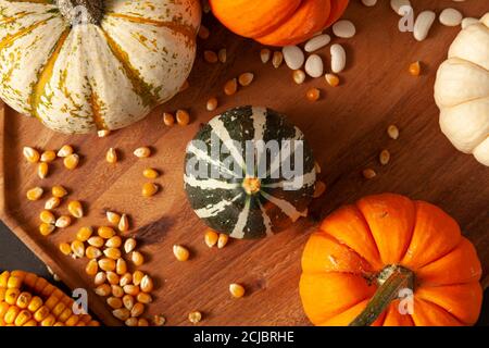 pumpkins, squashes and gourds ,  dried a corn cob with kernels and dried beans were randomly spread on a wooden plate on a  black background. Ideal im Stock Photo