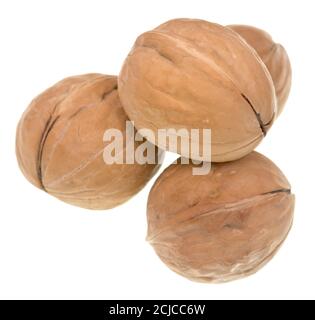 Walnut isolated on white background Stock Photo