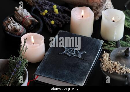 Wiccan witch altar with a hand made old looking book grimoire with triple moon symbol, and other various items - dried flowers, nature elements Stock Photo