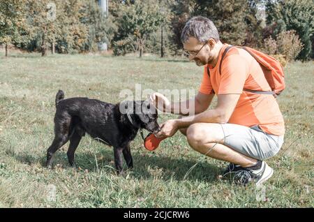A middle aged man crouching to stroke his dog while walking outdoors Stock Photo
