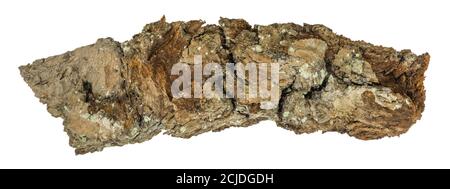 Graphic resources. Close-up view of oak tree bark isolated on white background Stock Photo