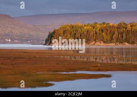 Herons in the salt marsh at Penouille at dawn, Forillon National Park, Gaspésie, Quebec, Canada Stock Photo