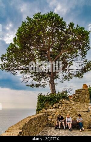 Picturesque view of three tourists sitting on a bench under a beautiful big tree at the viewpoint Belvedere di Santa Maria, the popular hilltop... Stock Photo