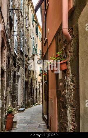 Gorgeous view of a narrow road and houses with ancient facades on each side in the historic village Corniglia at the coastal area of Cinque Terre,... Stock Photo