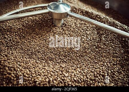 Freshly roasted coffee beans in cooling tray Stock Photo