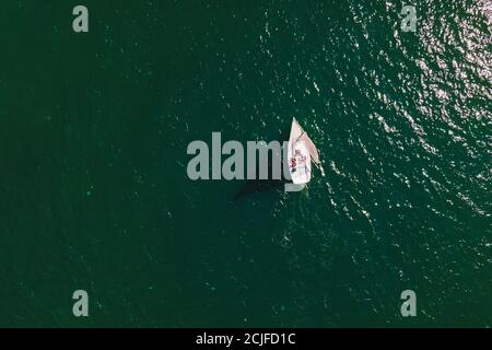 Amazing view to yacht sailing in open sea at windy day. Stock Photo