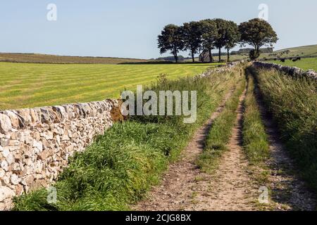 A newly rebuilt section of dry stone wall beside a farm track near Biggin in the Peak District, Derbyshire Stock Photo