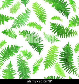 Watercolor seamless pattern of fern leaves. Botanic seamless background. Hand drawn green leaves pattern Stock Photo