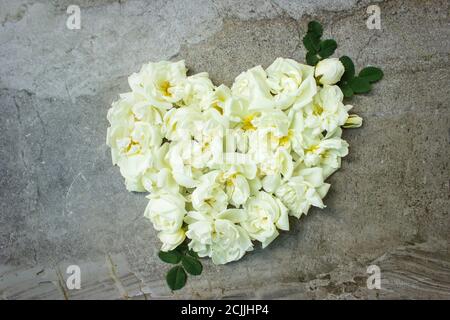White rose in form heart spilling from a glass on wooden background, copy space for text. Floral greeting card mockup. Wedding invitation or happy mot Stock Photo