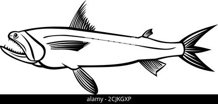 Bombay duck fish Black and White Stock Photos & Images - Alamy
