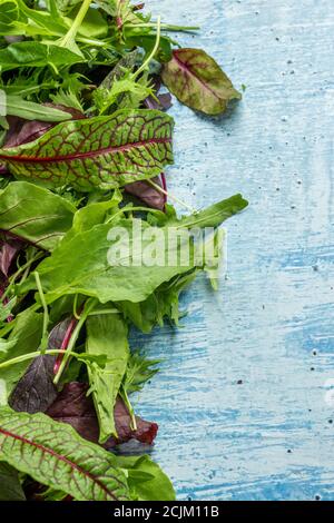 Mixed fresh green vegetables on wooden background Stock Photo