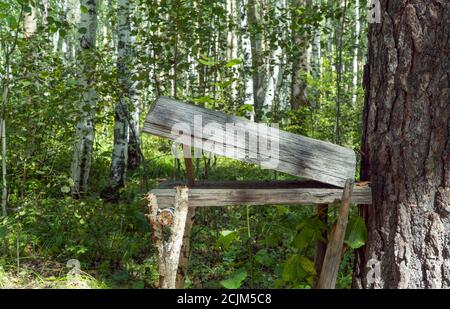 homemade wooden trap for animals and birds installed in the forest. the inventory of the hunter. Stock Photo