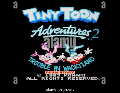 Tiny toon 3 deals nes