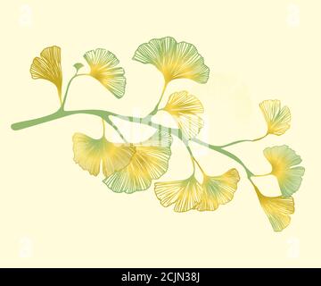 Ginkgo biloba branch graphic twig. Vector illustration of ginkgo biloba leaves. Background with leaf silhouette. Design for textile, fabric, wallpaper Stock Vector